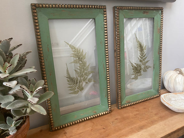 Vintage set of framed fern art